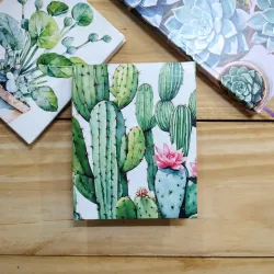 Agenda mini de cactus