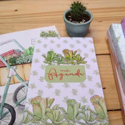 Diseño de siembras de suculentas 