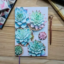 Diseño suculentas en maceticas