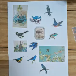 Pegatinas vintage de aves