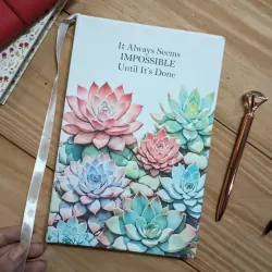 Diseño de suculentas 