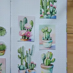 Pegatinas de cactus grandes