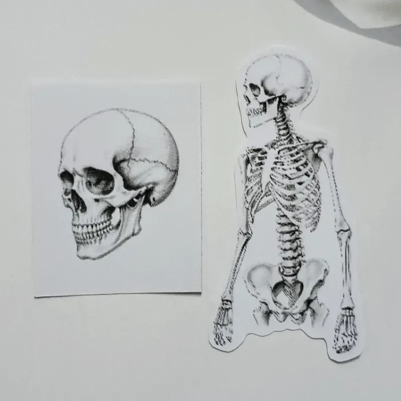 Pegatinas de esqueleto