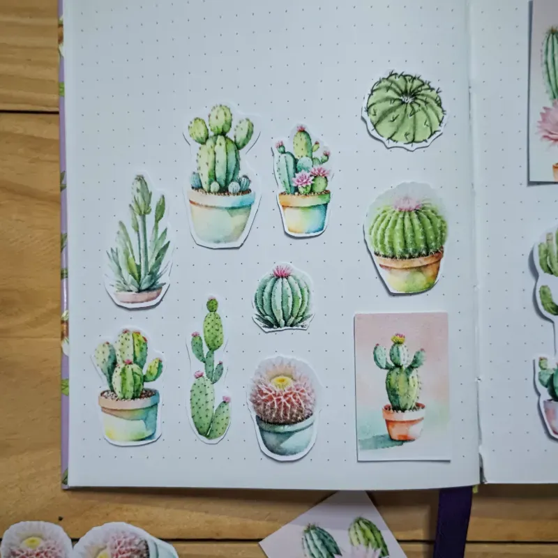 Pegatinas de cactus pequeños