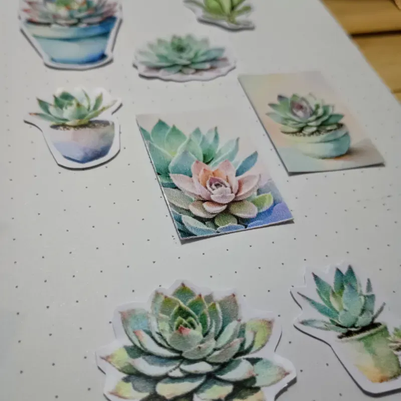 Pegatinas de suculentas en tamaño pequeño 