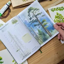 Planner de árbol ponderosa 