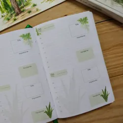 Planner de planta lengua de vaca 
