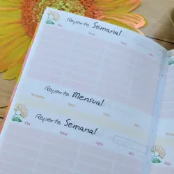 Reporte semanal y mensual 