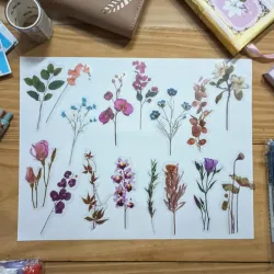Pegatinas de flores con fondo transparente 