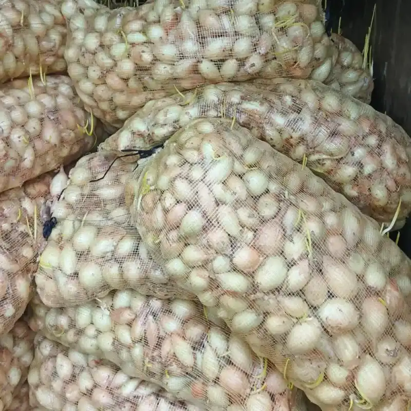  Cebolla Blanca – Producto Nacional 🧅   