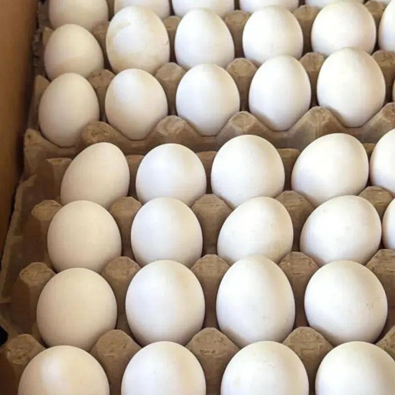  Huevo blanco importado   (cajas) oferta válida para cup