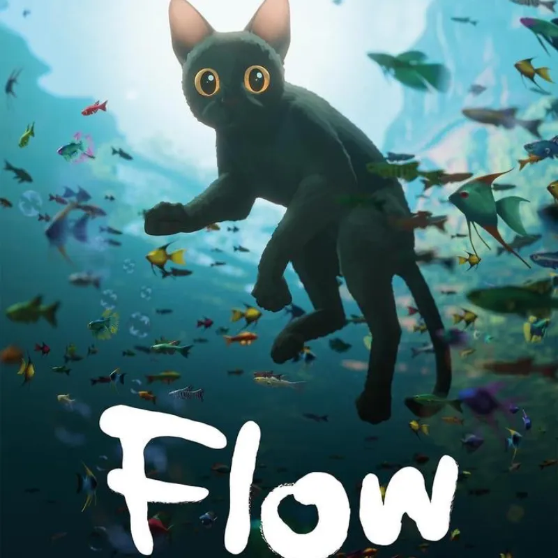 Flow