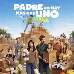 Padre no hay más que uno, la serie