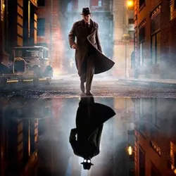 Spider Noir