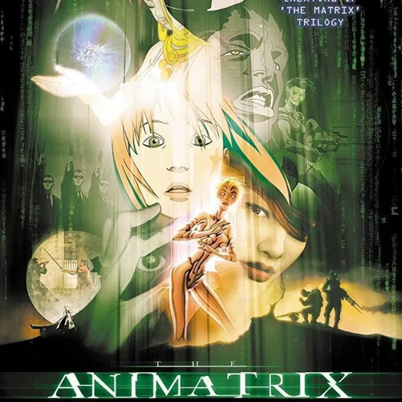 The Animatrix