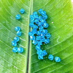Bicono 8 mm azul turquesa 