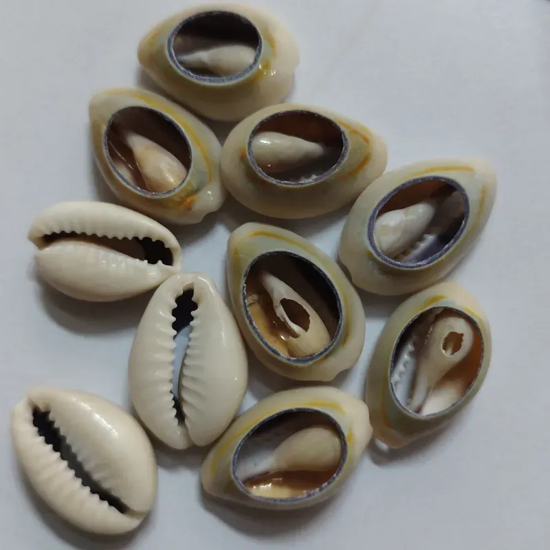 Caracol natural 