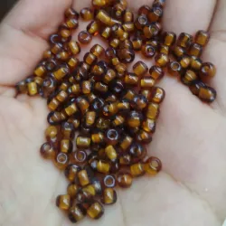 Chaquirón marrón encapsulado 