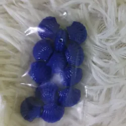 Conchas marinas azules 