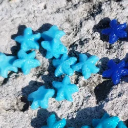 Estrellas marinas azules claras