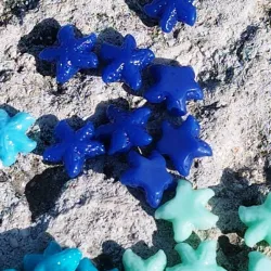 Estrellas marinas azules oscuras 