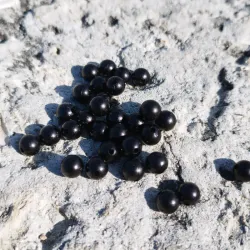 Perlas negras 6 mm