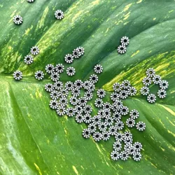 Separadores 4 mm