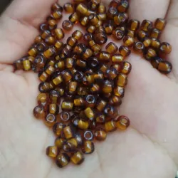 Shaquirón marrón encapsulado 