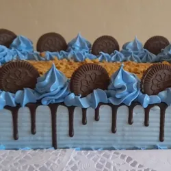 Cake mediano cuadrado(Al-6cm x L-35cm×An -22cm)