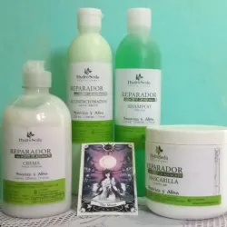 Combo Capilar Aguacate: Suaviza y Alisa 🥑