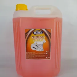 Detergente Multiusos 5 L