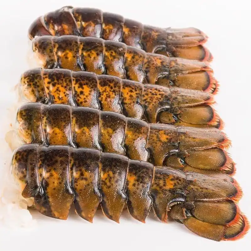 Langosta