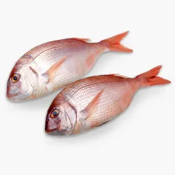 Pargos