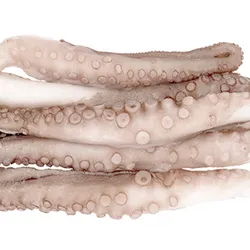 Pulpo