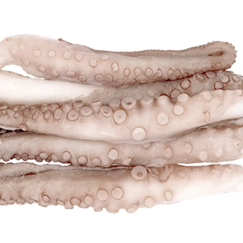 Pulpo