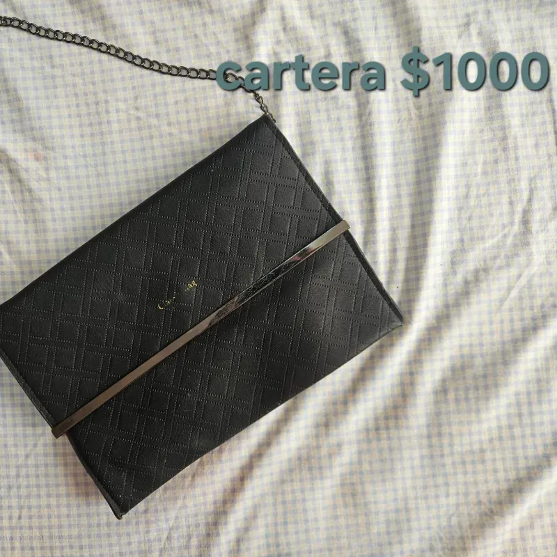 Cartera tipo clutch