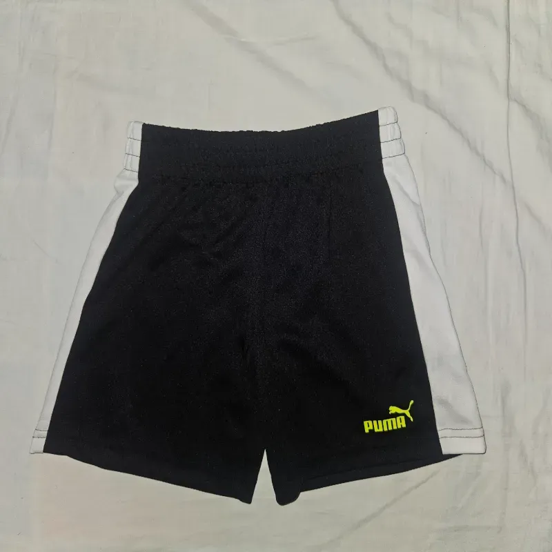 Short Puma