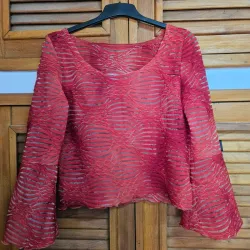 Blusa roja de mangas