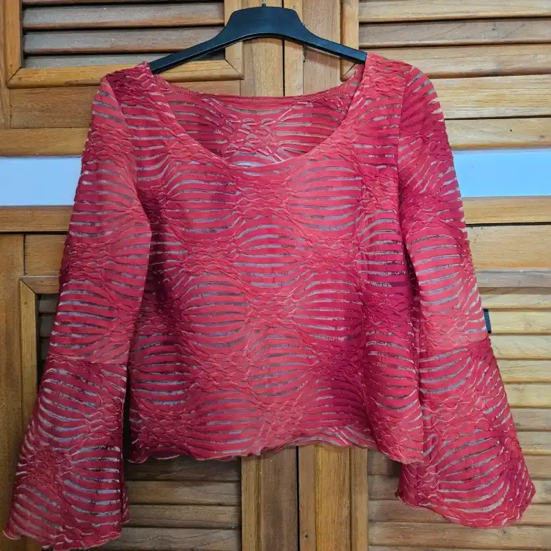 Blusa roja de mangas