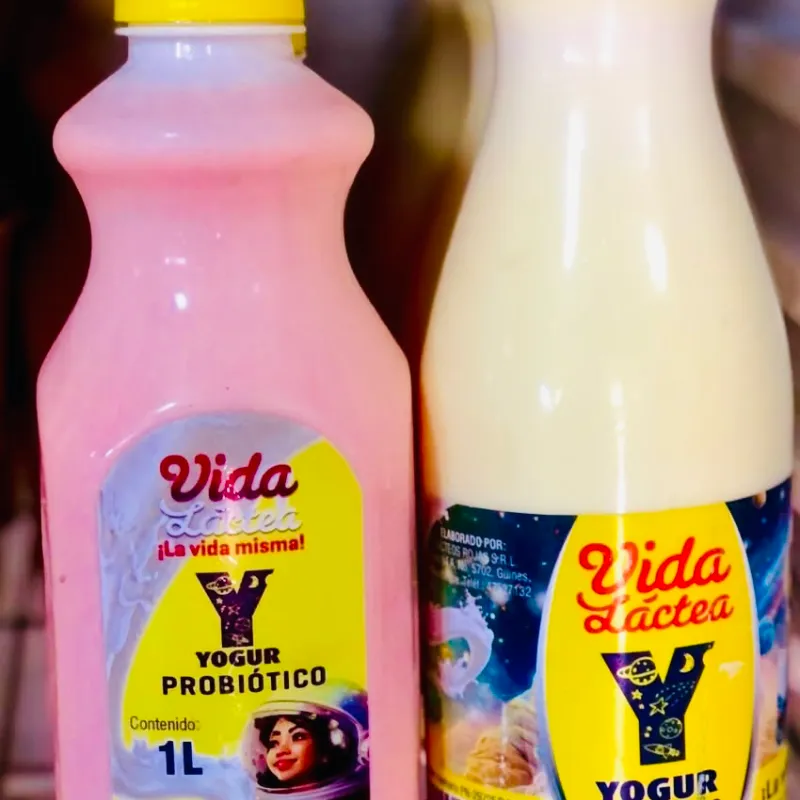 Yogurt probiótico 1L 