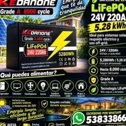 Batería de Litio LiFePO4