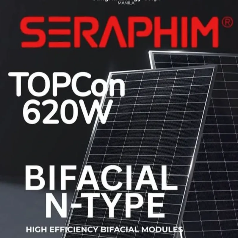 Paneles Solares Monocristalinos Bifaciales 620 w