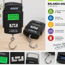 Pesa Digital