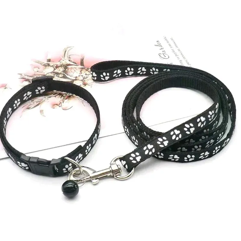 Collar con correa para mascotas
