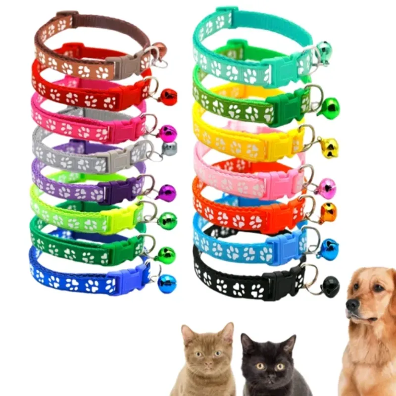 Collar para mascota