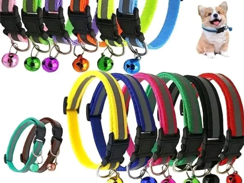 Collares para mascotas