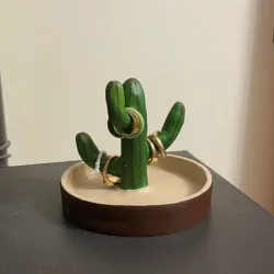 Cactus joyero 