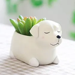 Labrador 