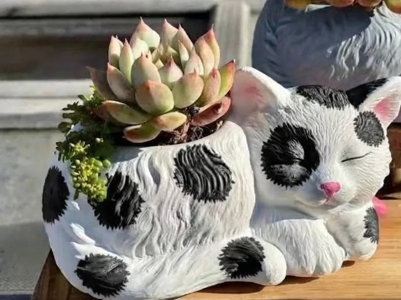 Macetas y plantas