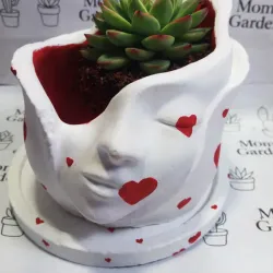 Maceta de amor 